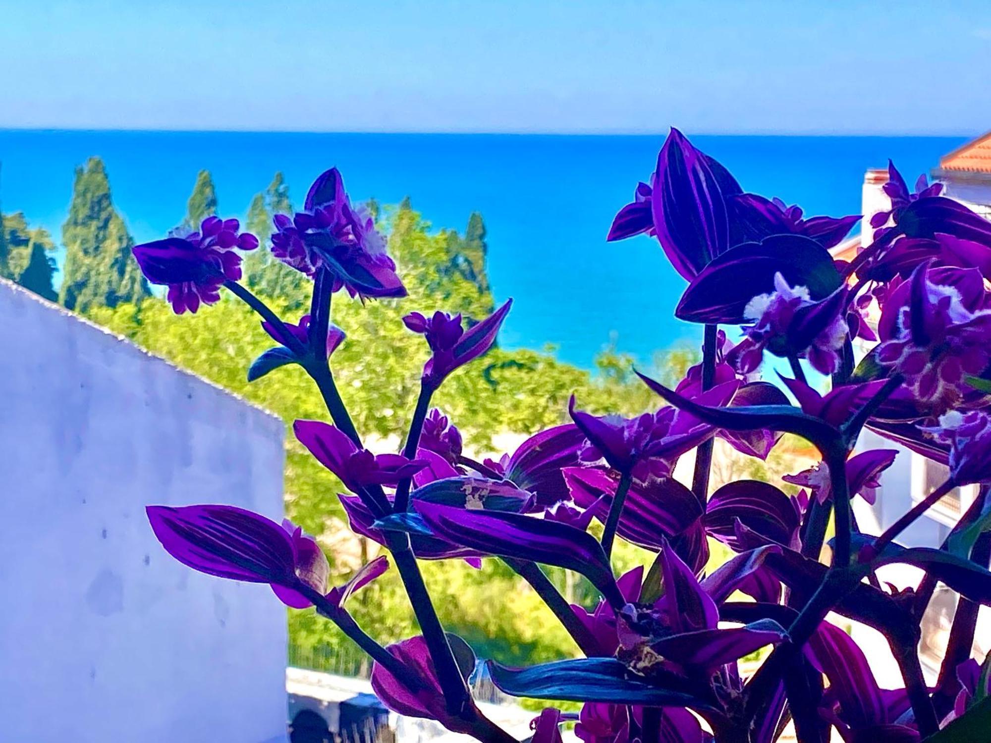 Casazzurra Daire Ortona Dış mekan fotoğraf